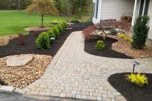 Residential Landscaping and Plantings
